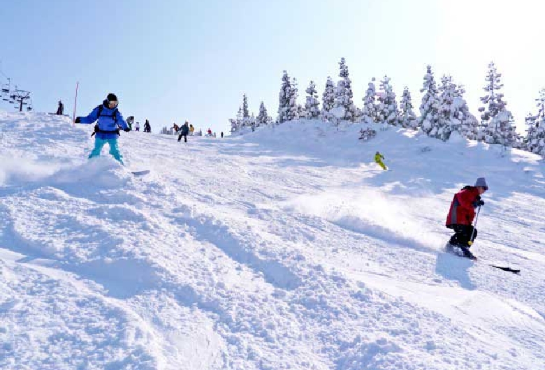 上越国際スキー場