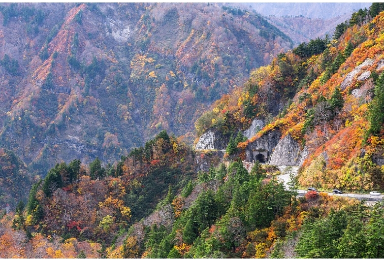 白山白川郷ホワイトロード