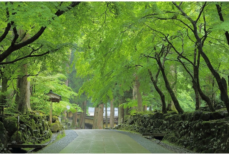 永平寺