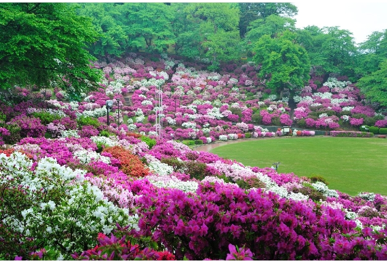 西山公園