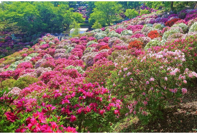 西山公園