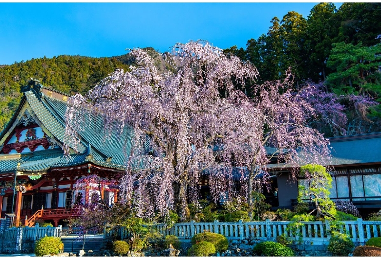 久遠寺