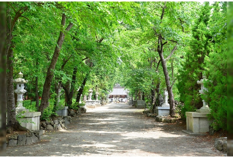 北口本宮冨士浅間神社