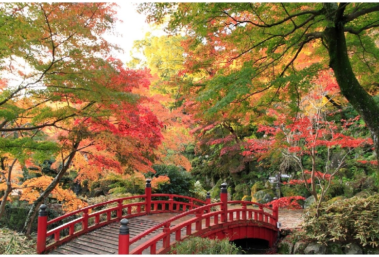 熱海梅園