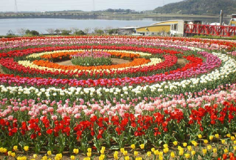 サンテパルクたはら