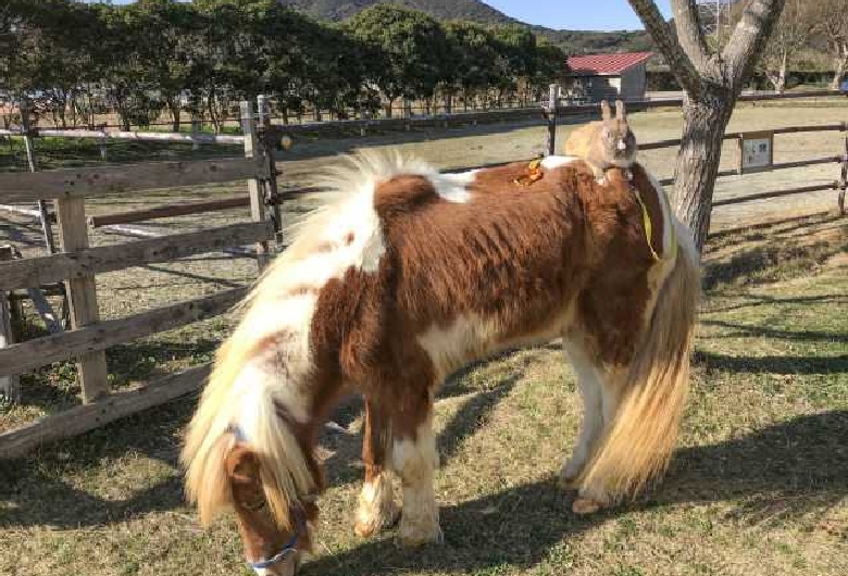 サンテパルクたはら