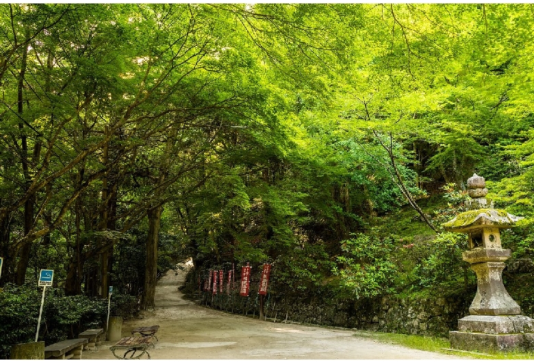 書寫山圓教寺