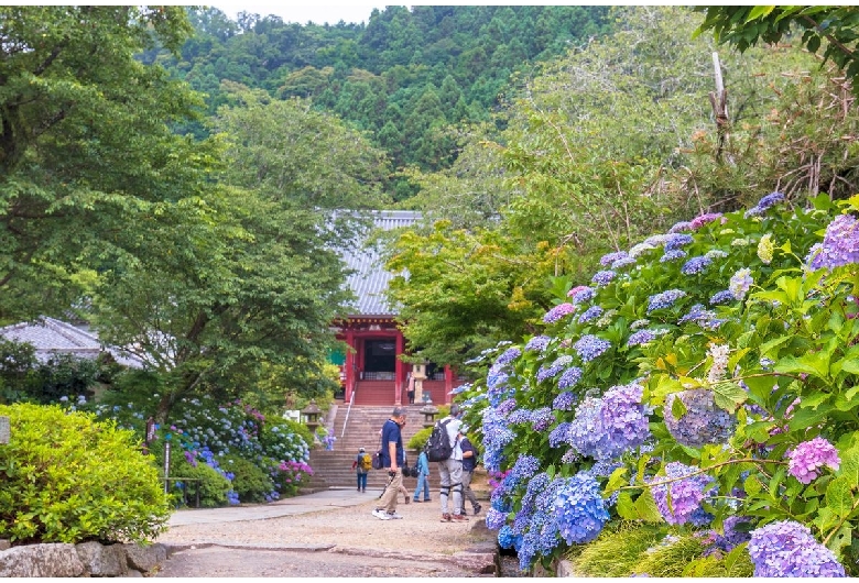 矢田寺