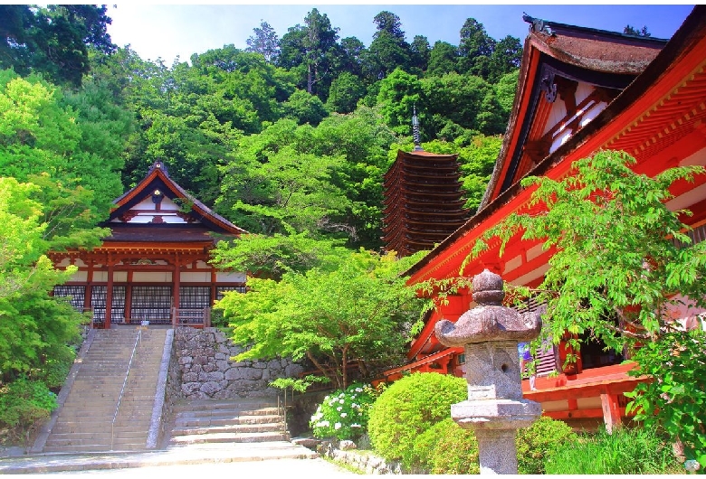 談山神社