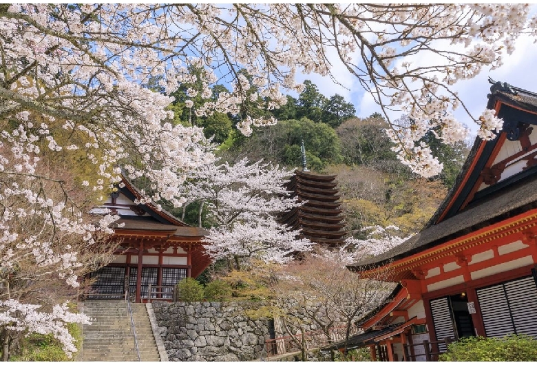 談山神社