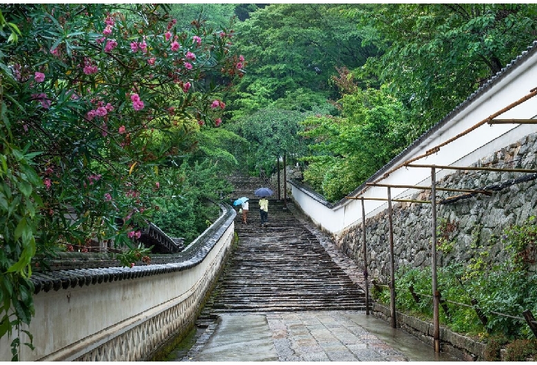 長谷寺