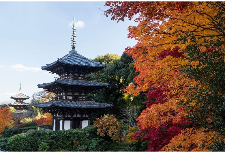 當麻寺