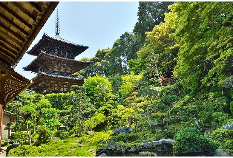 當麻寺