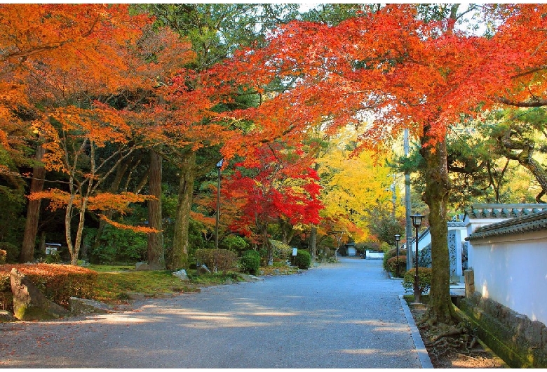 紅葉谷公園