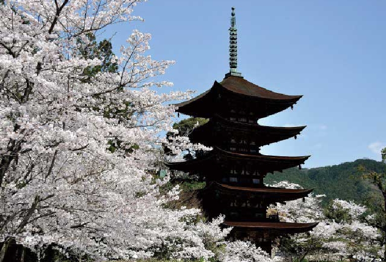 国宝瑠璃光寺五重塔