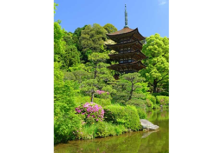 国宝瑠璃光寺五重塔