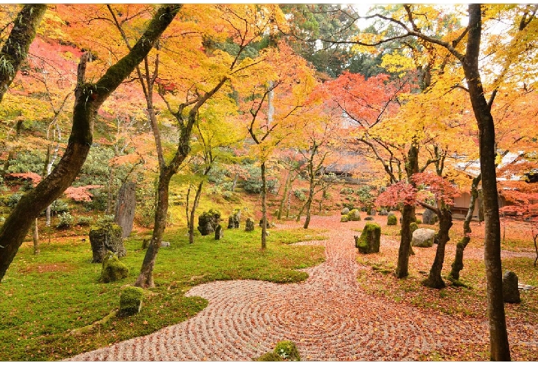 光明禅寺