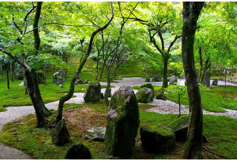 光明禅寺