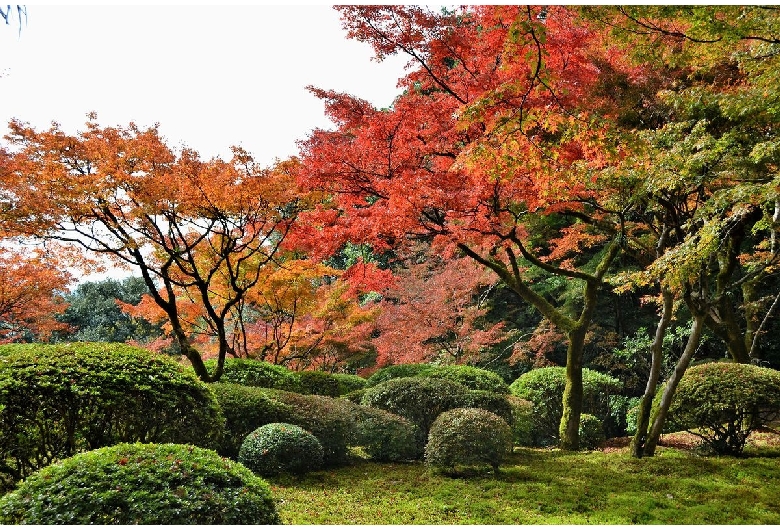 九年庵