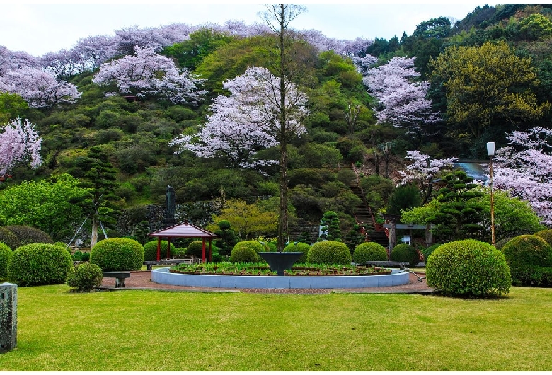 祐徳稲荷神社