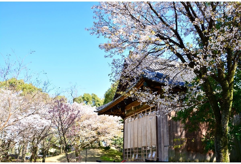 水前寺成趣園