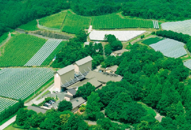 安心院葡萄酒工房