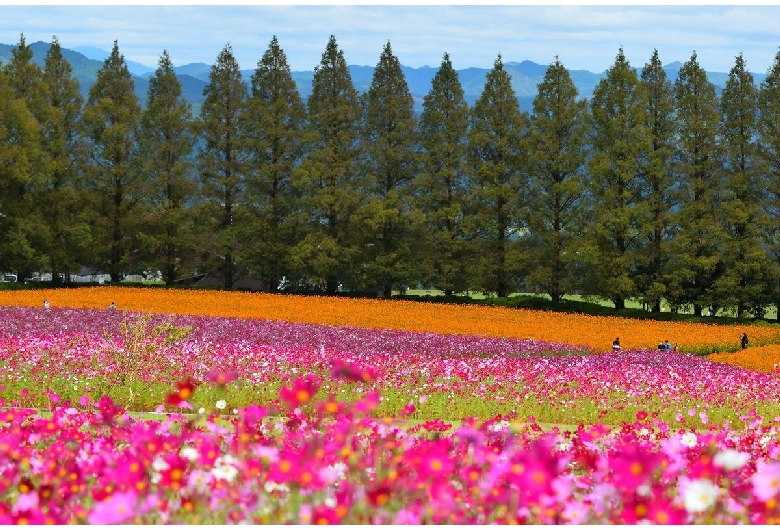 生駒高原