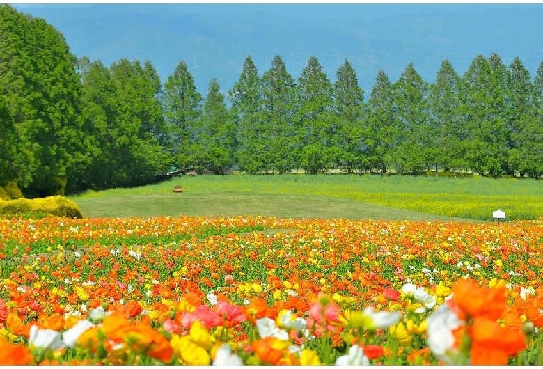 生駒高原