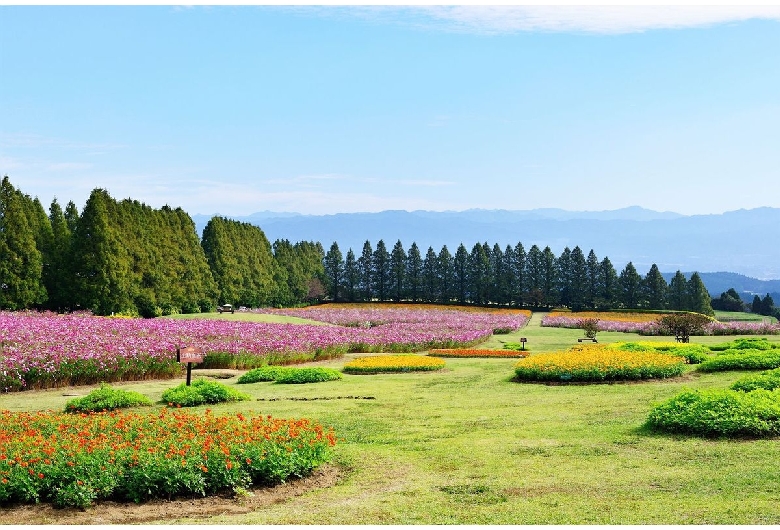 生駒高原