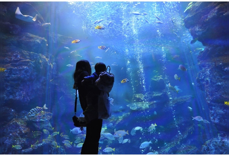 京都水族館