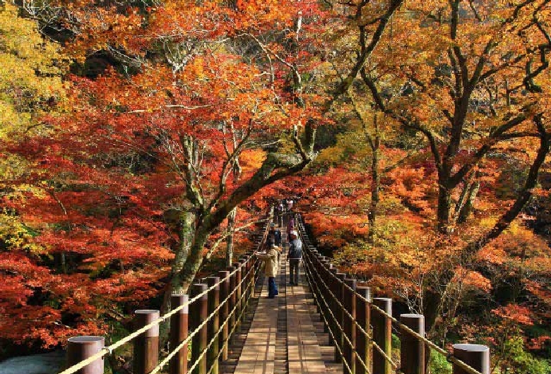 care!!花貫渓谷ペグマタイト他 超高線量!!花貫渓谷ペグマタイト(30)