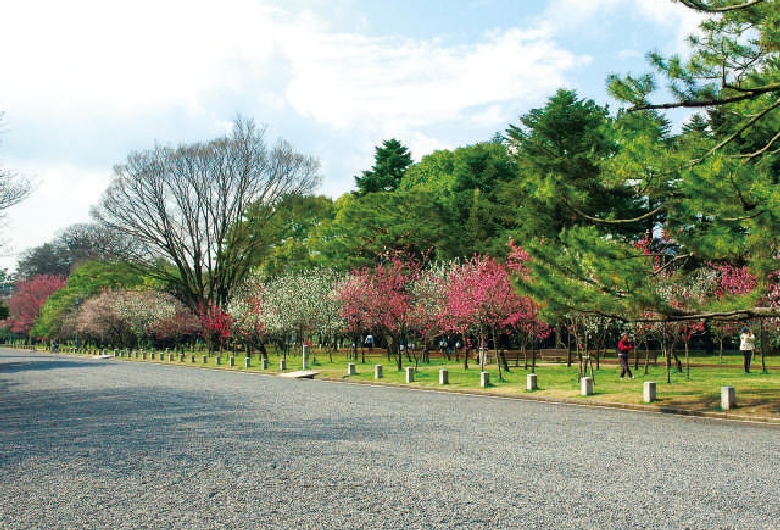 京都御苑