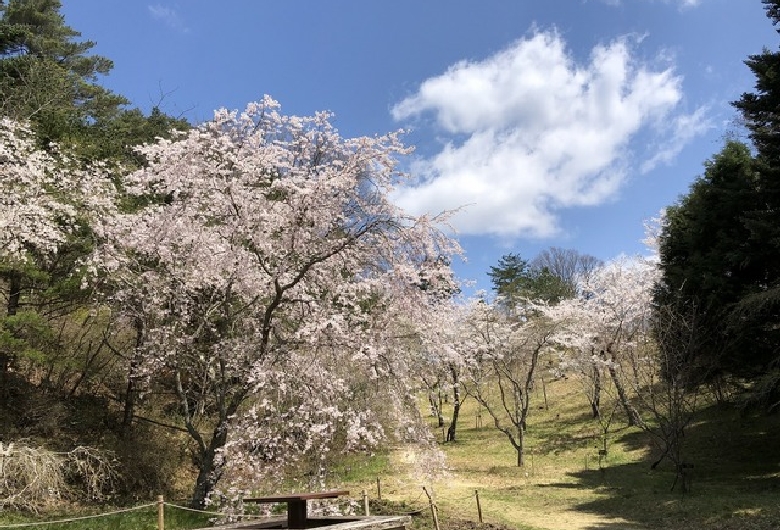 神戸市立森林植物園
