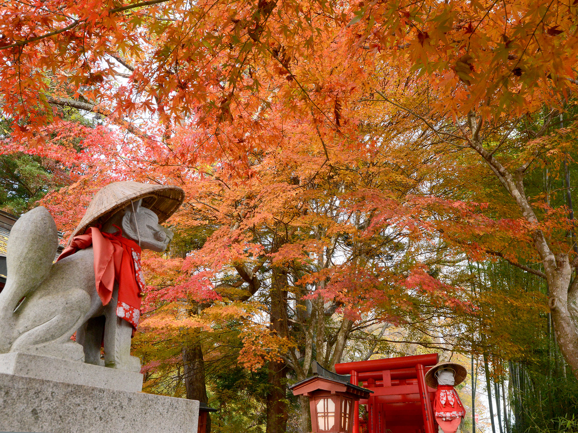 岩代国一之宮・会津総鎮守　伊佐須美神社