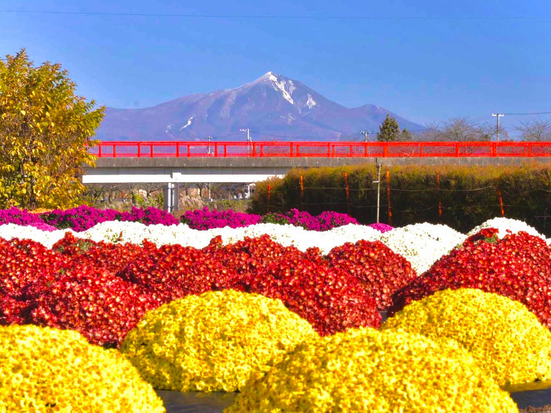 岩代国一之宮・会津総鎮守　伊佐須美神社