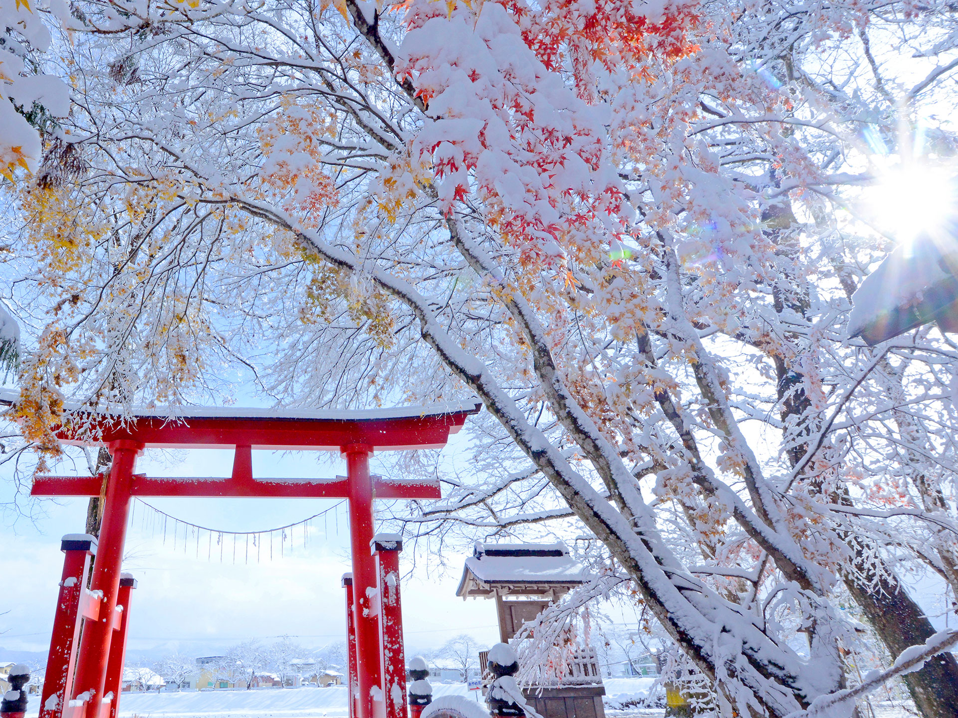 岩代国一之宮・会津総鎮守　伊佐須美神社