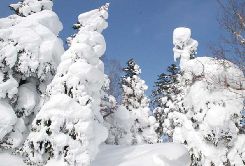 みやぎ蔵王えぼしリゾート