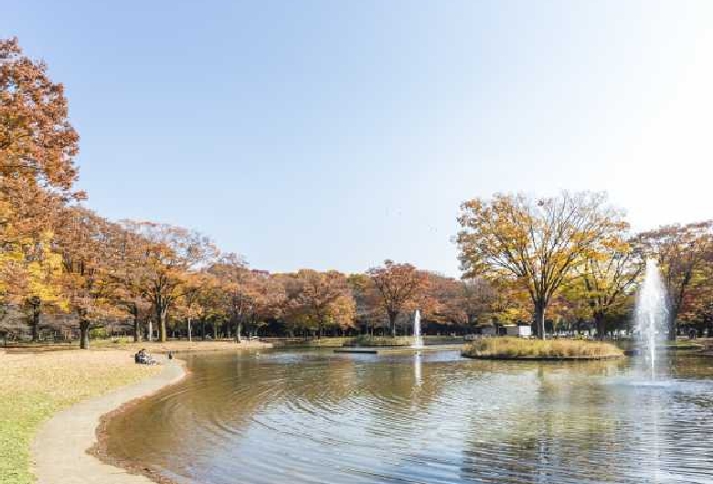 代々木公園