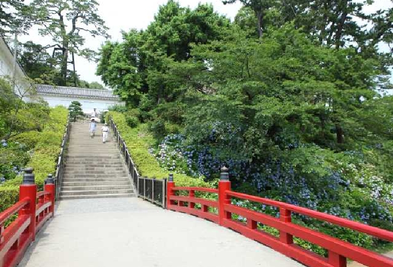 小田原城址公園