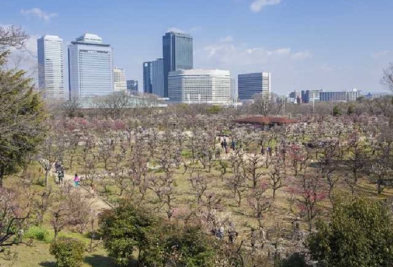 大阪城公園
