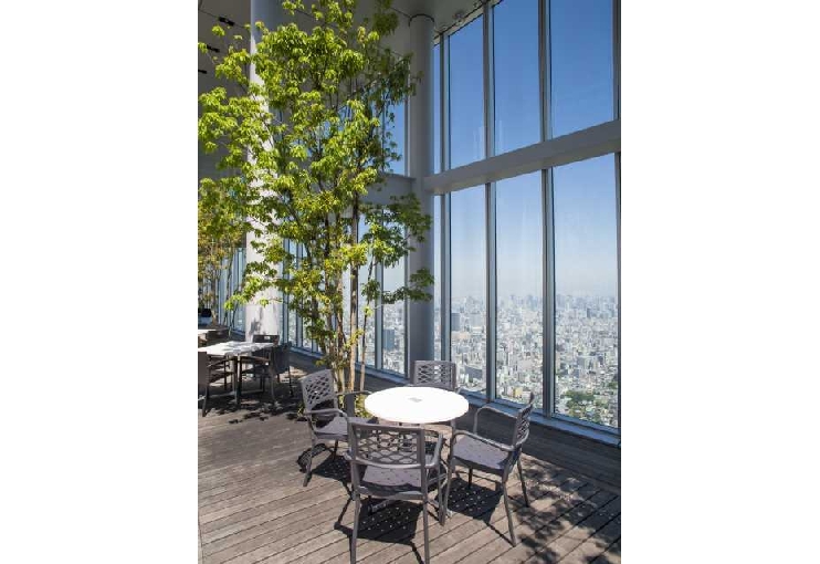 ハルカス３００（展望台）