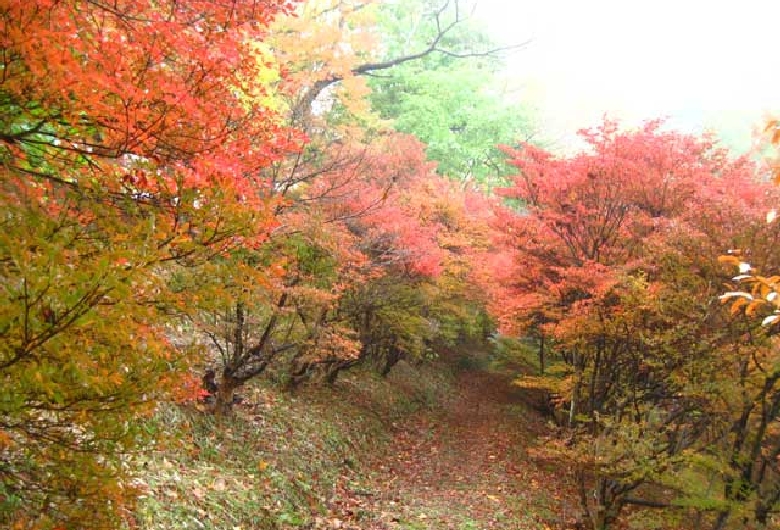 岡山市半田山植物園
