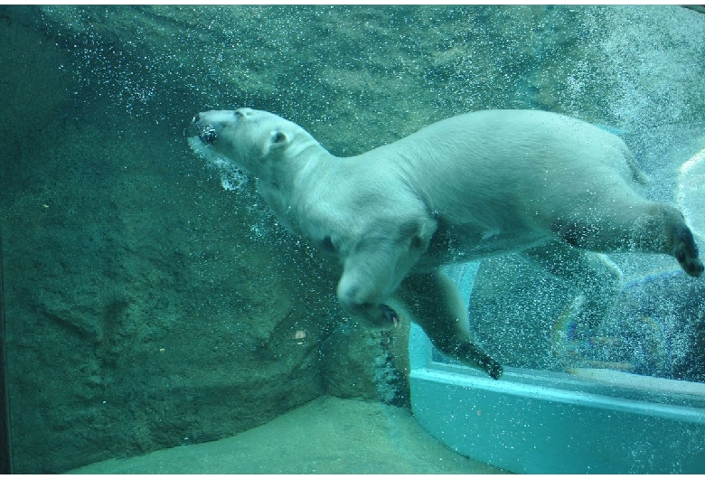 静岡市立日本平動物園