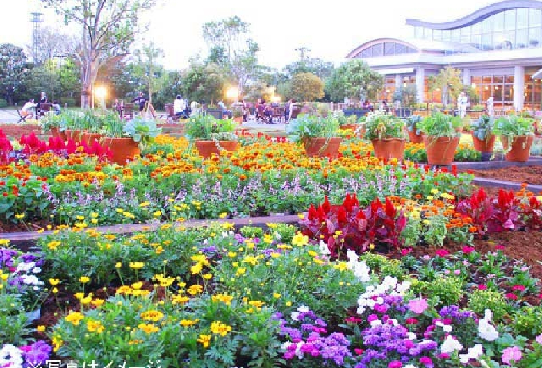 フローランテ宮崎