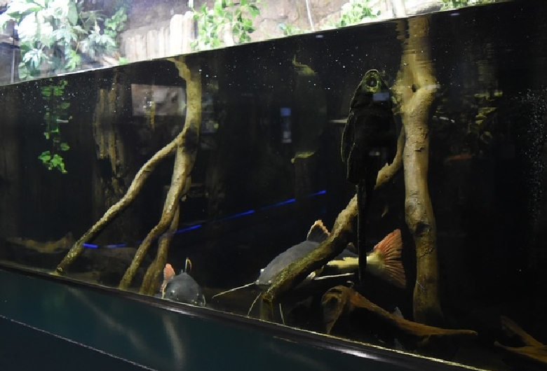 さいたま水族館