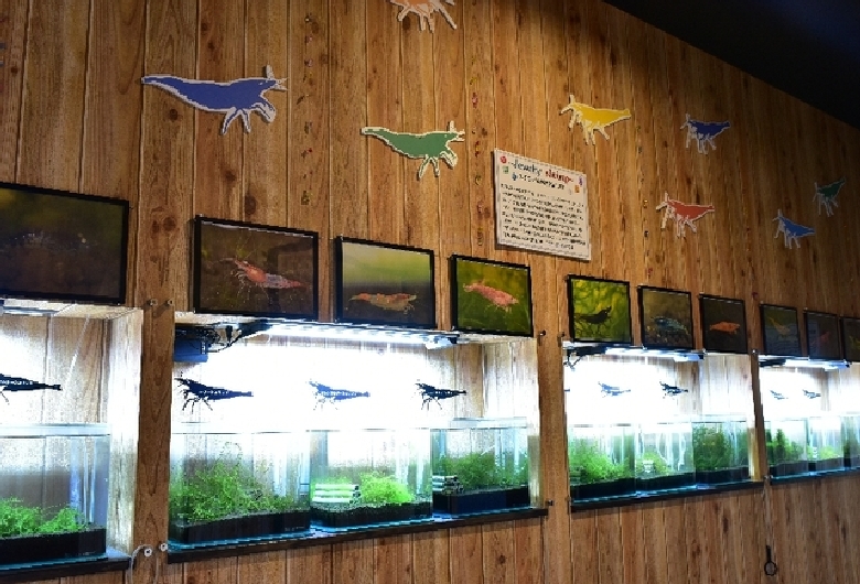 すさみ町立　エビとカニの水族館