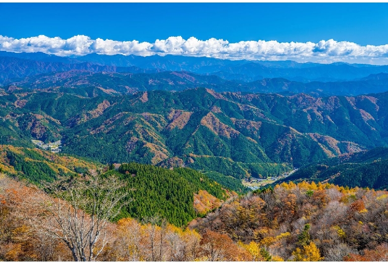 茶臼山高原