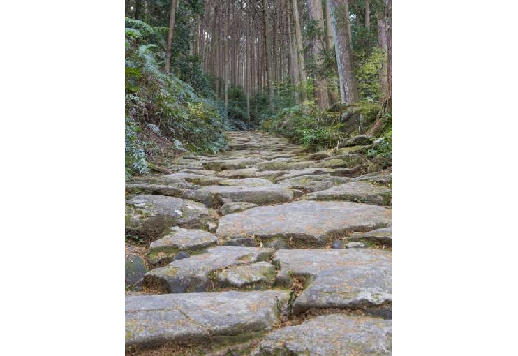 熊野古道伊勢路