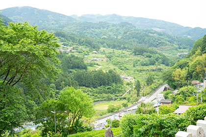 夏の画像2