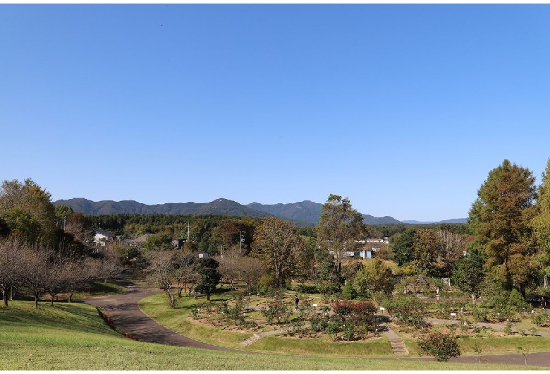 茨城県フラワーパーク